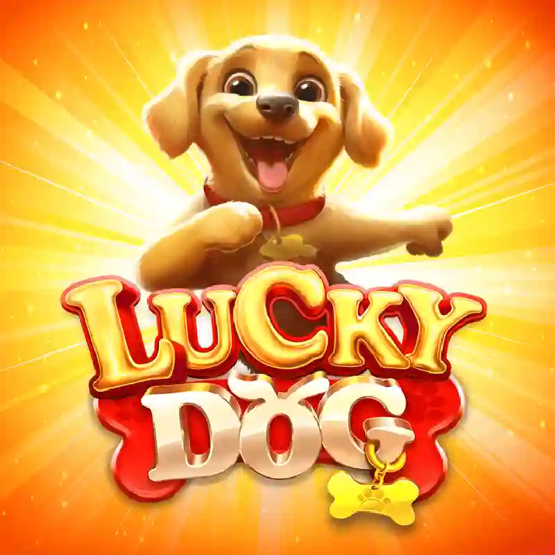 Lucky Dog tragamonedas casino México